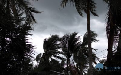 9 Hurricane Tips to Protect You and Your Home