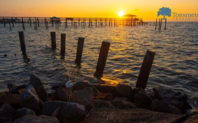 Fairhope, AL: A Great Place to Live, Work & Play